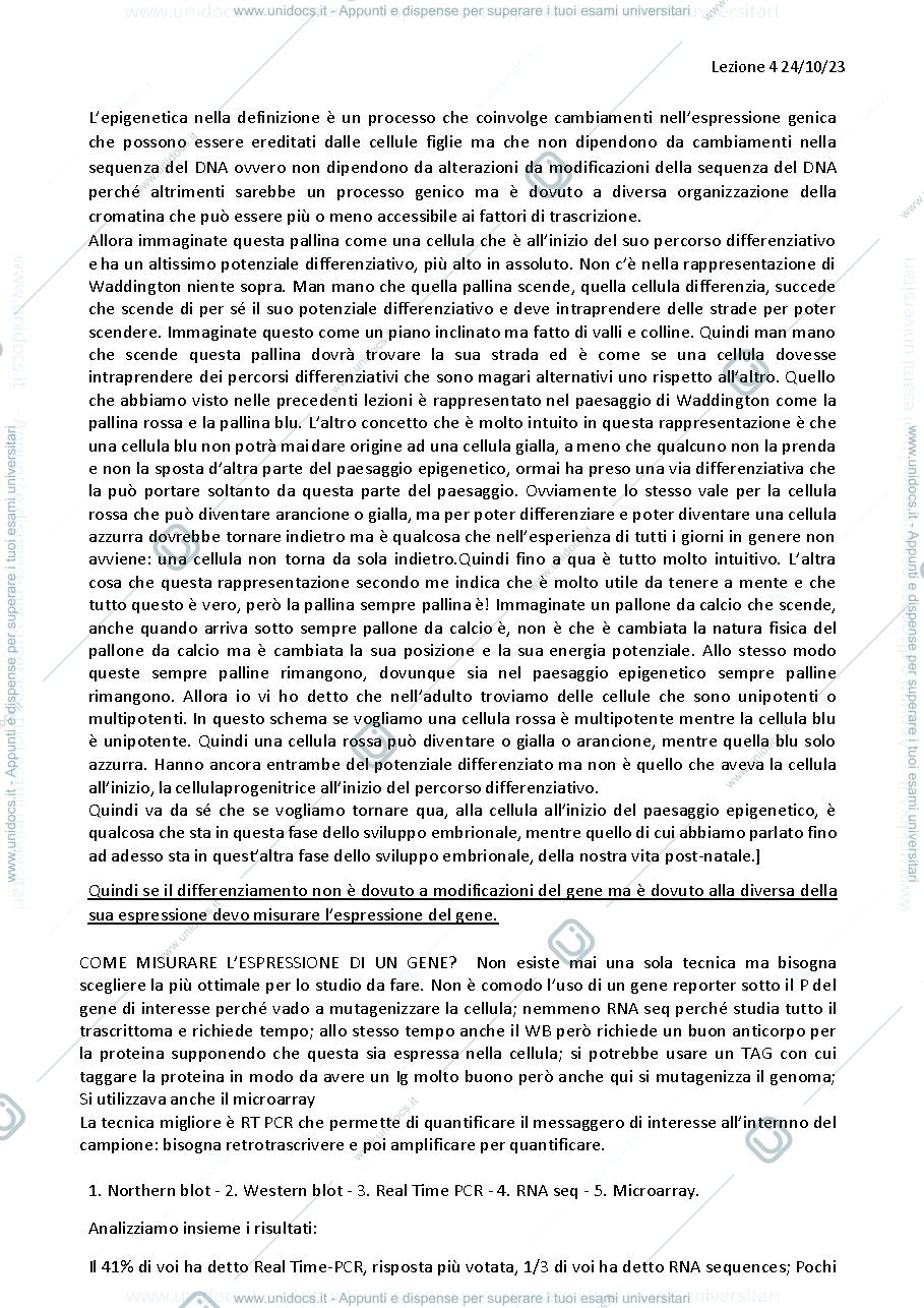 Anteprima pagina 2 — LEZIONE 4