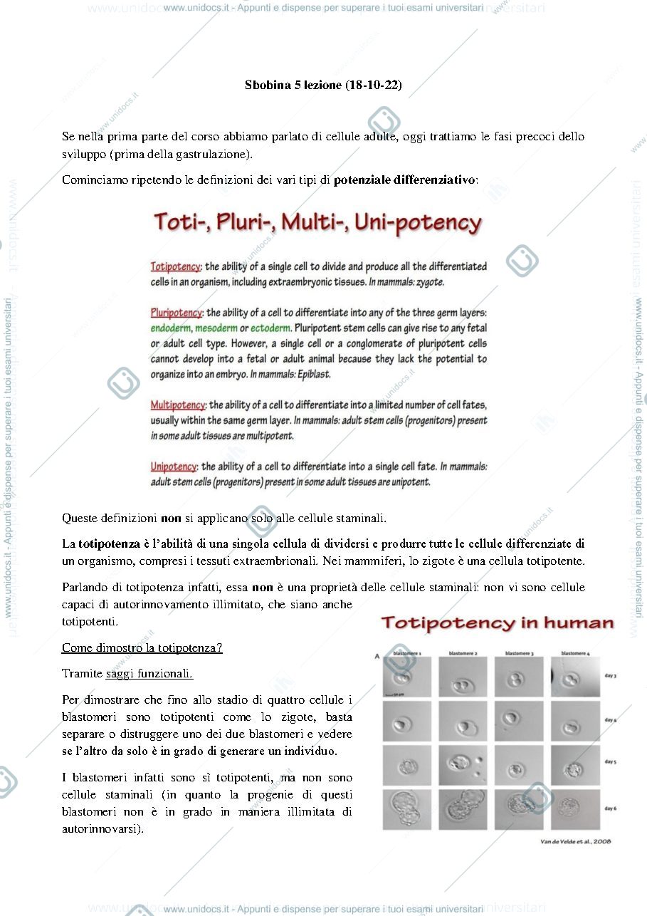 Anteprima pagina 1 — LEZIONE 5