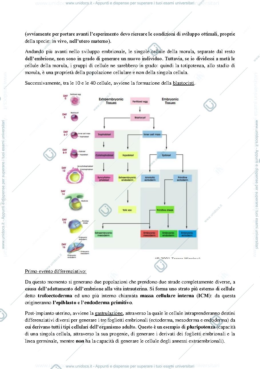 Anteprima pagina 2 — LEZIONE 5