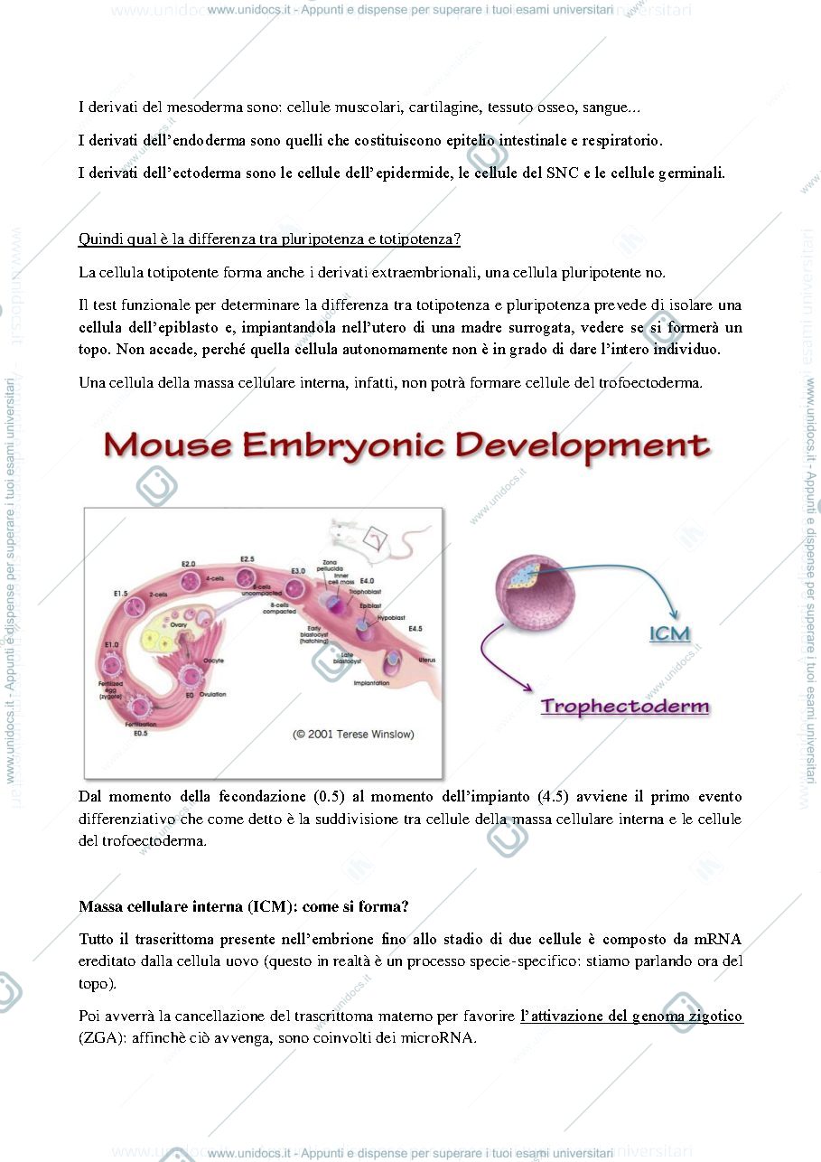 Anteprima pagina 3 — LEZIONE 5