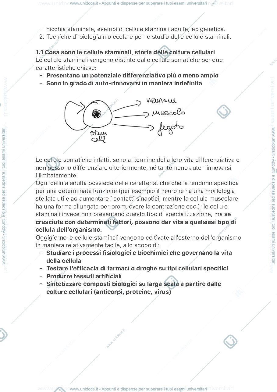 Anteprima pagina 2 — Biologia Molecolare delle Cellule Staminali 