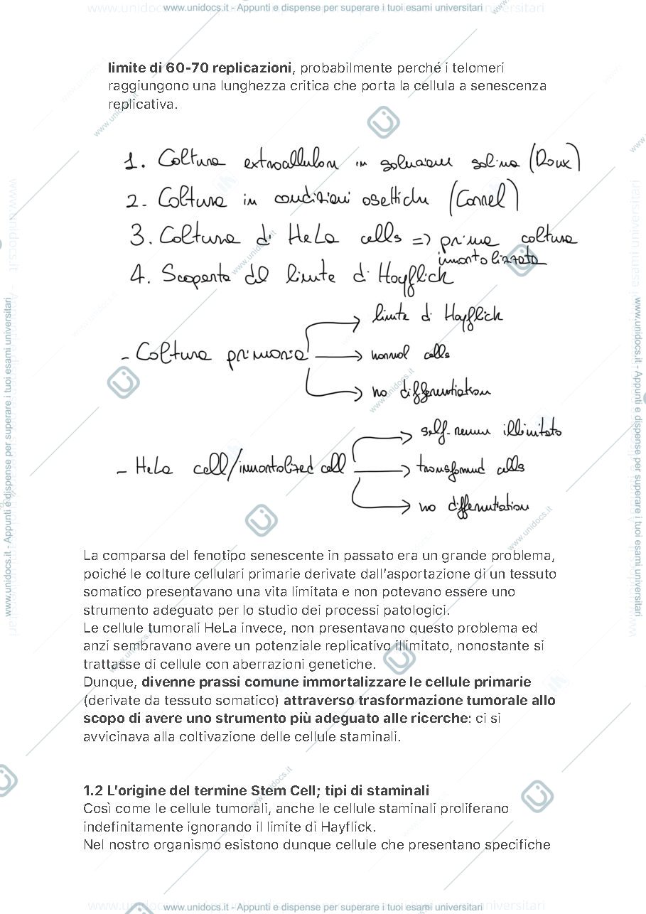 Anteprima pagina 4 — Biologia Molecolare delle Cellule Staminali 