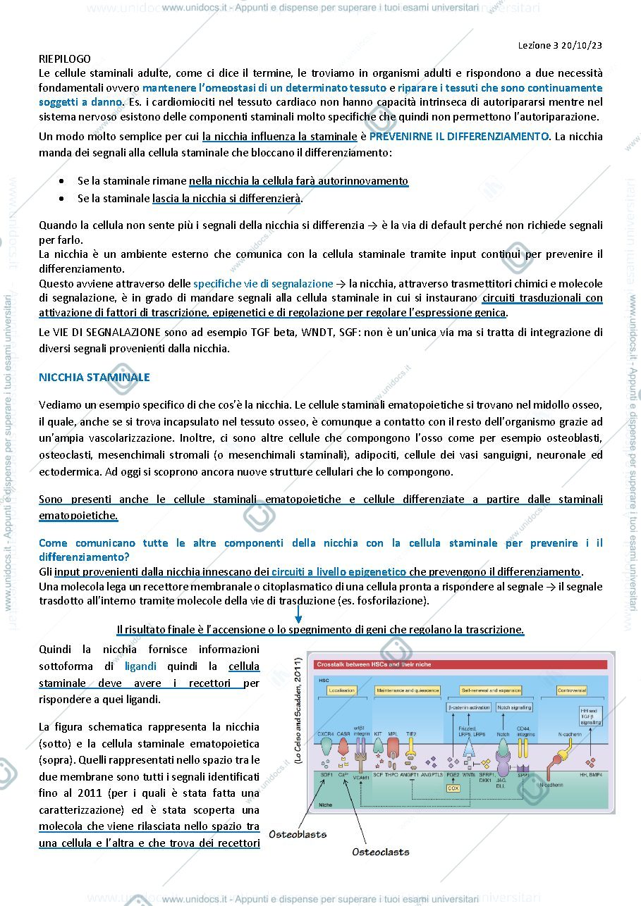 Anteprima pagina 1 — LEZIONE 3