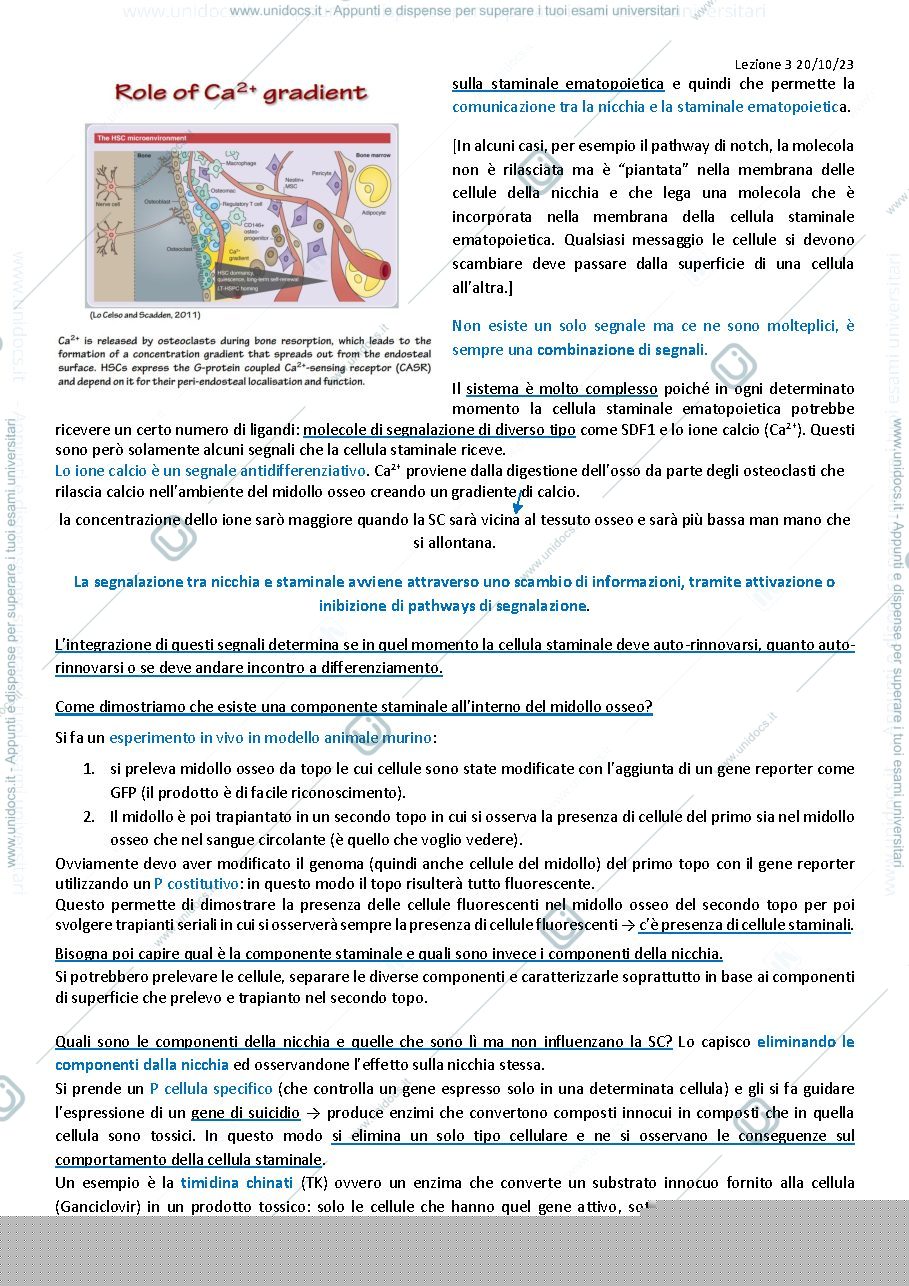Anteprima pagina 2 — LEZIONE 3