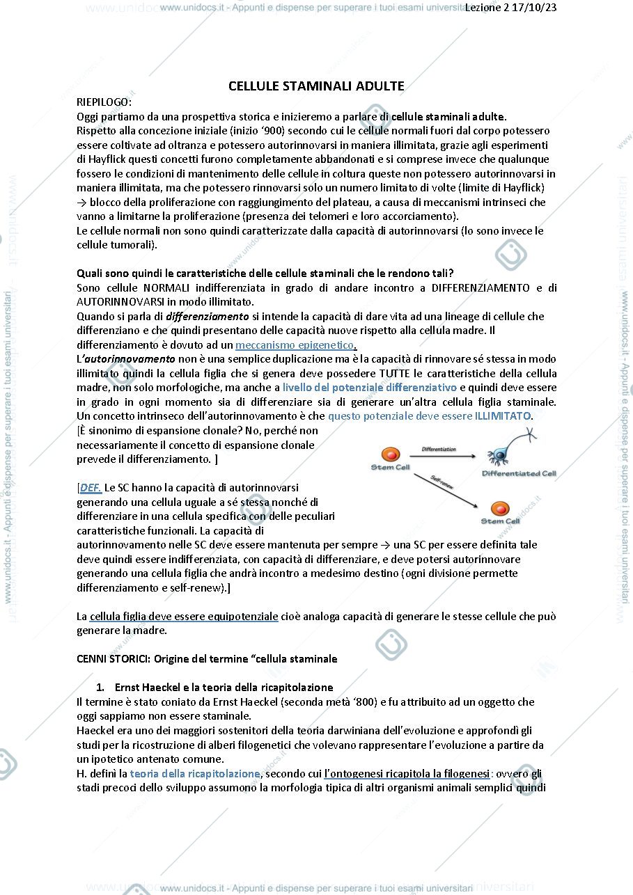 Anteprima pagina 1 — LEZIONE 2