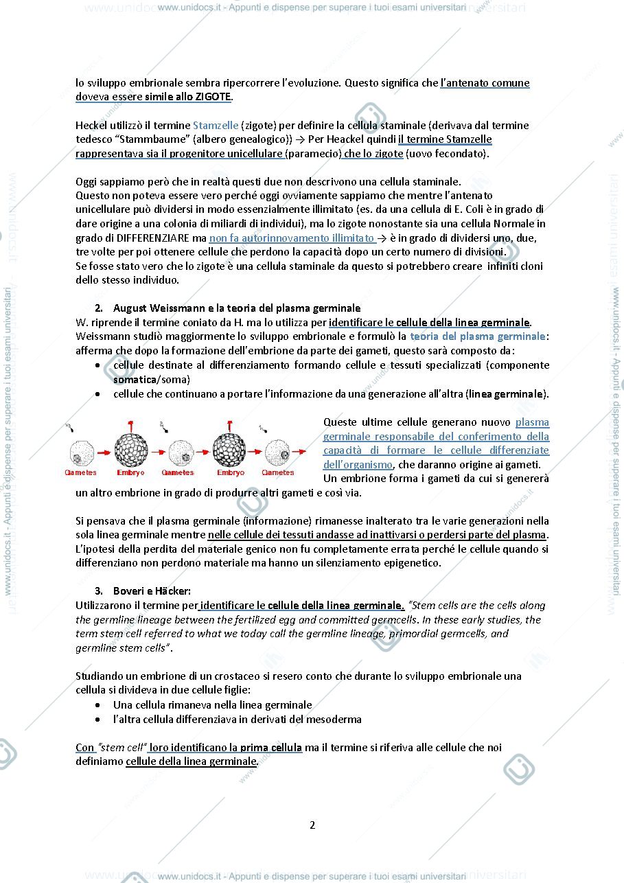 Anteprima pagina 2 — LEZIONE 2