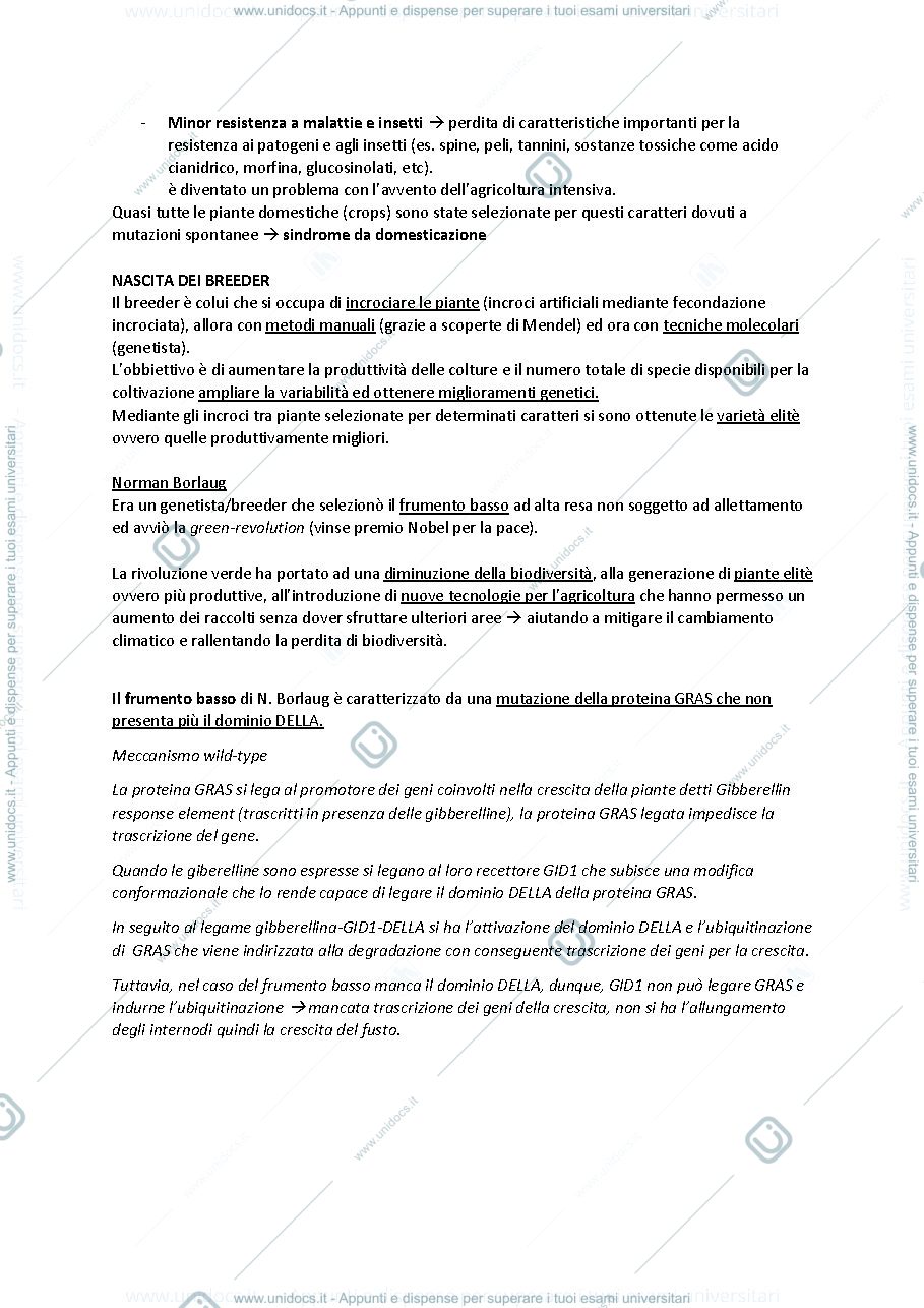 Anteprima pagina 3 — biologia molecolare delle piante 2021-2022