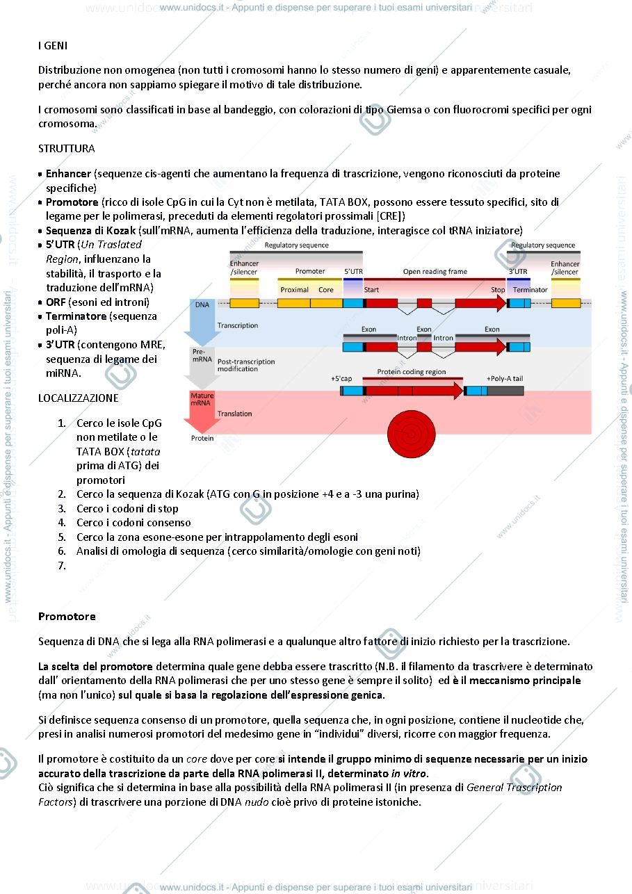 Anteprima pagina 1 — Biologia molecolare applicata e appl.bioinformatiche