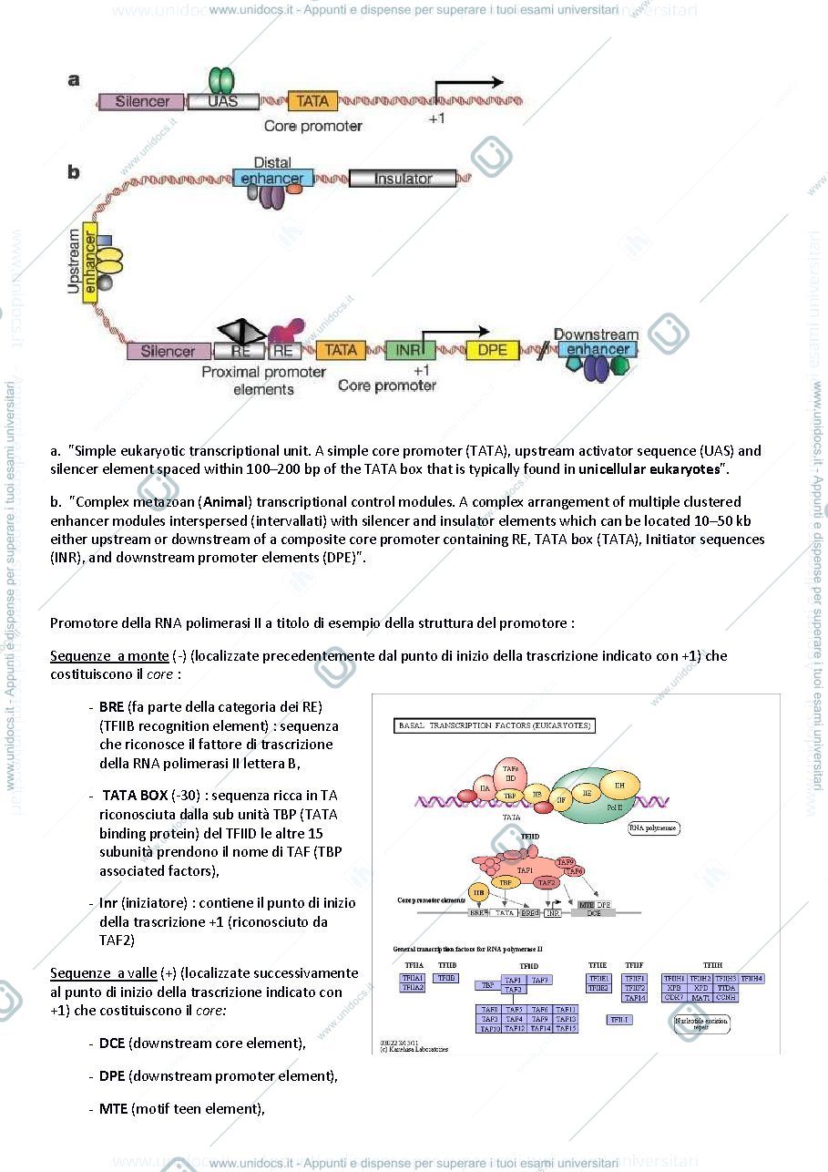 Anteprima pagina 2 — Biologia molecolare applicata e appl.bioinformatiche