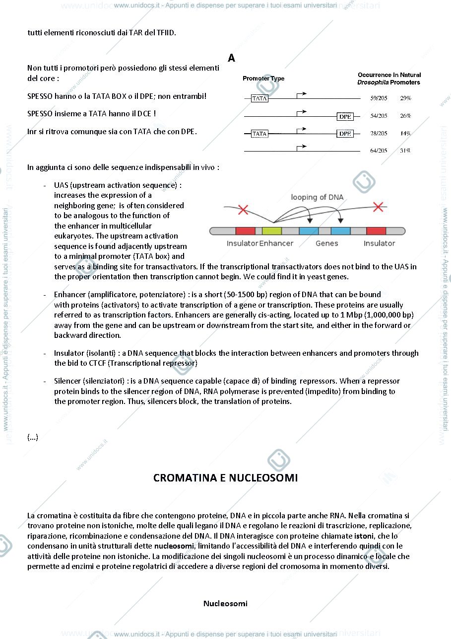 Anteprima pagina 3 — Biologia molecolare applicata e appl.bioinformatiche