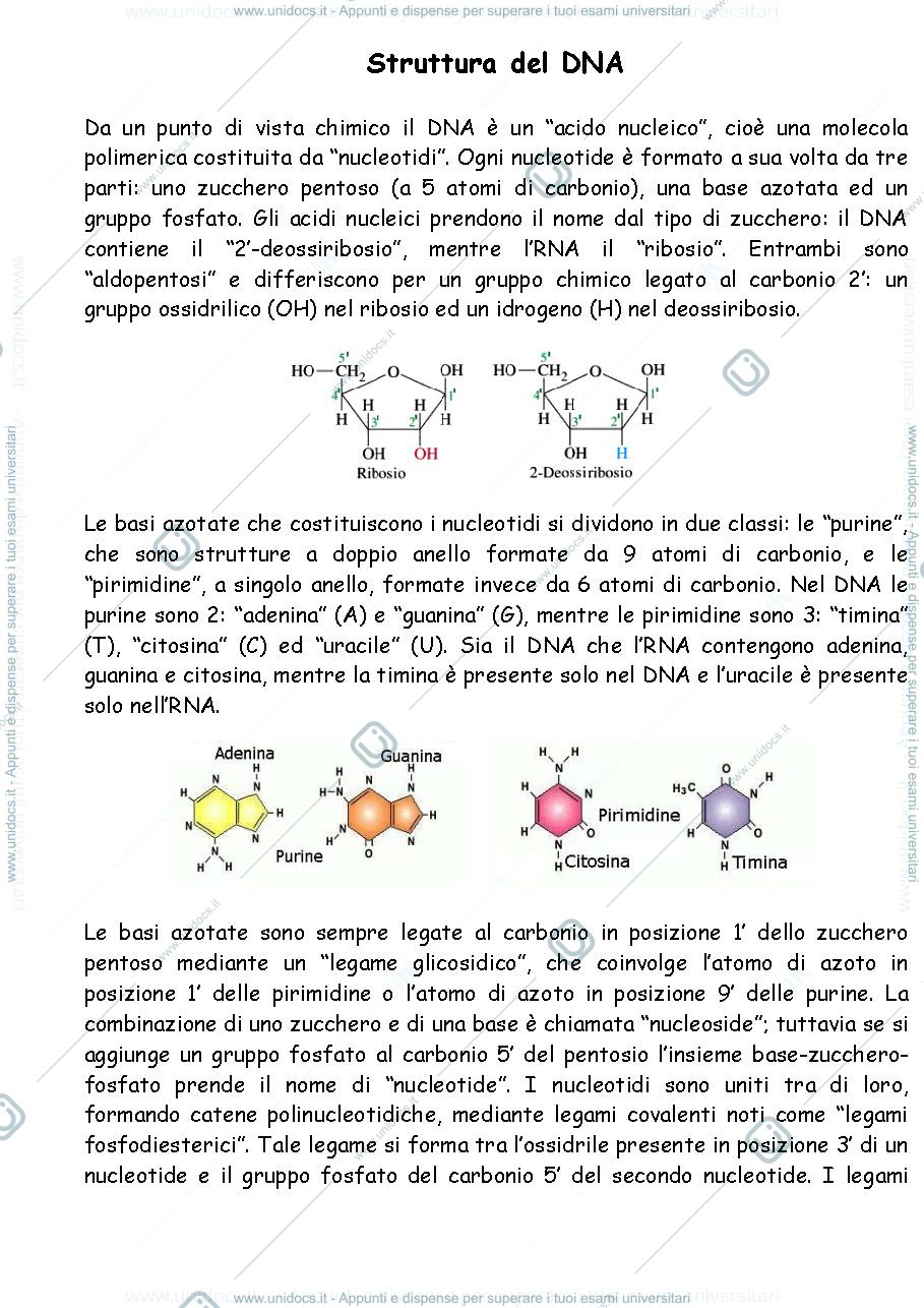Anteprima pagina 1 — Biologia molecolare 