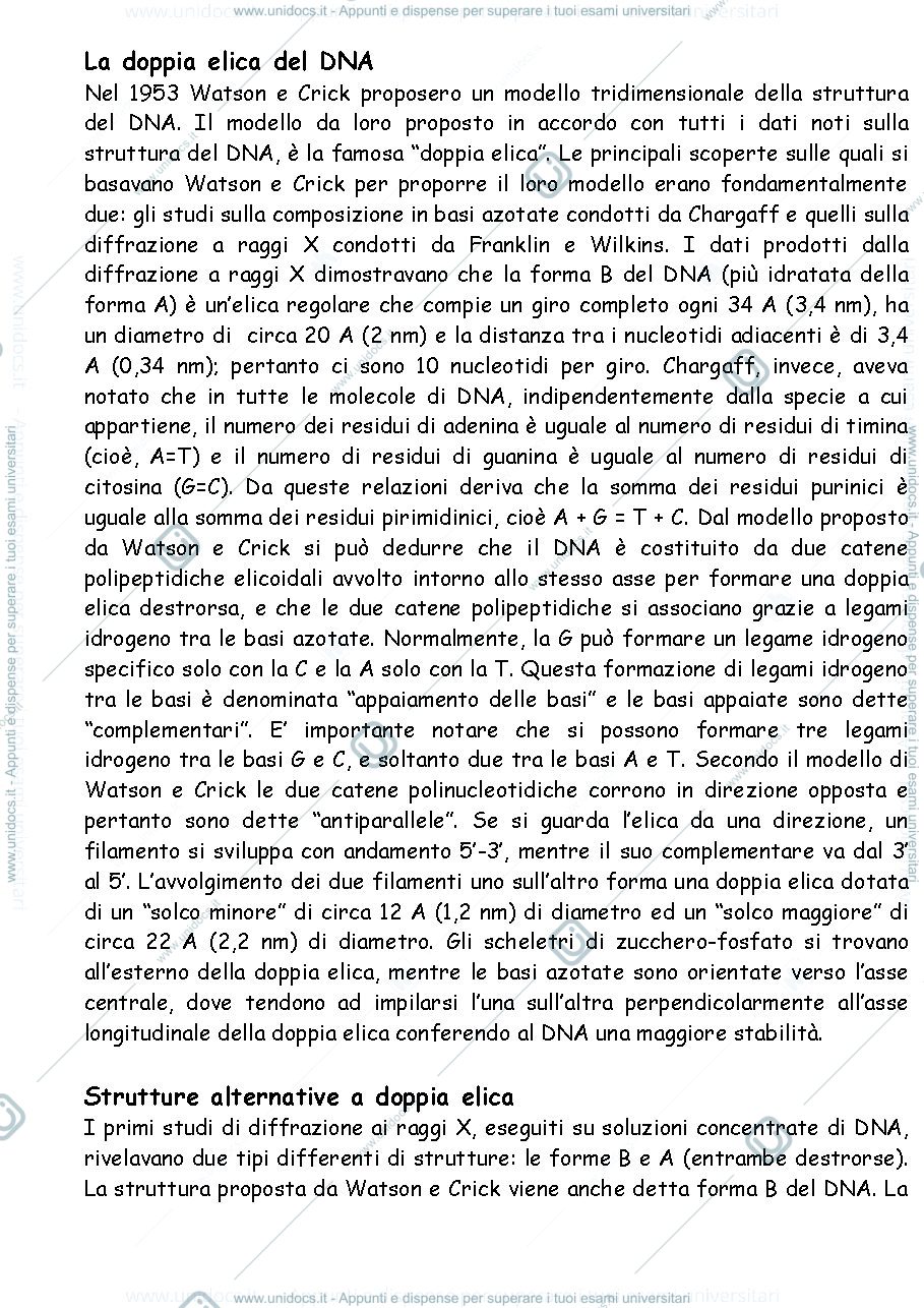 Anteprima pagina 3 — Biologia molecolare 
