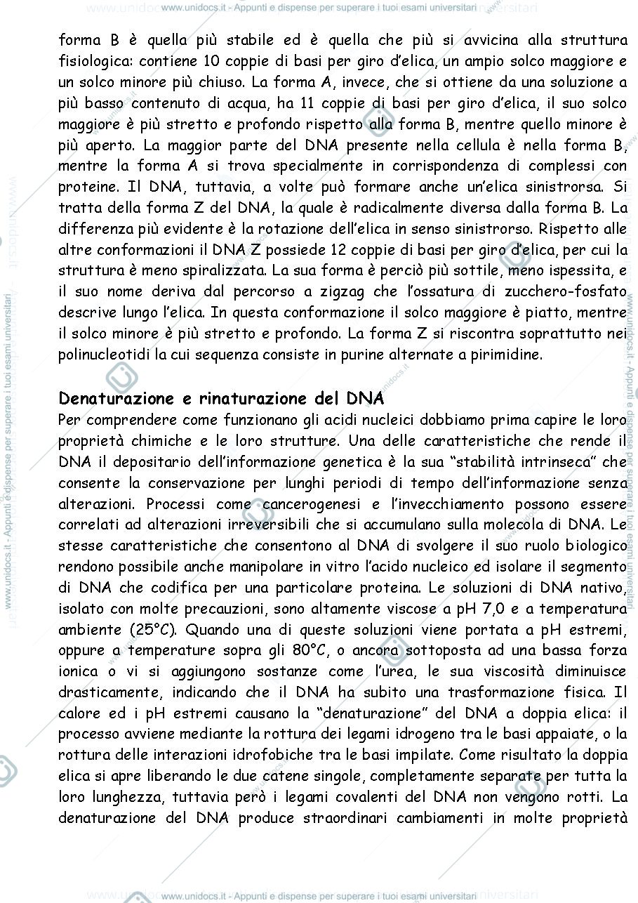 Anteprima pagina 4 — Biologia molecolare 