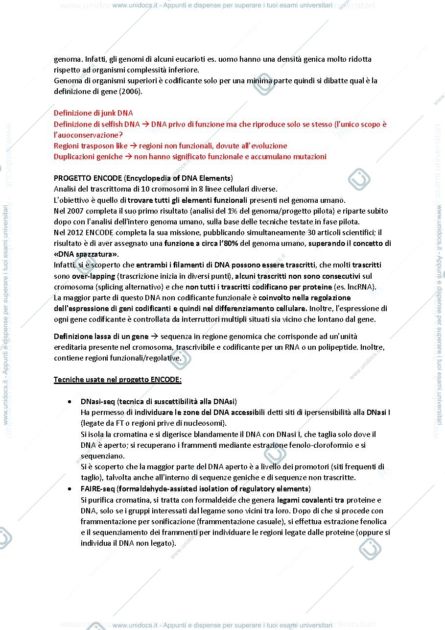 Anteprima pagina 2 — biologia molecolare e cellulare prof Bergantino e Rampazzo