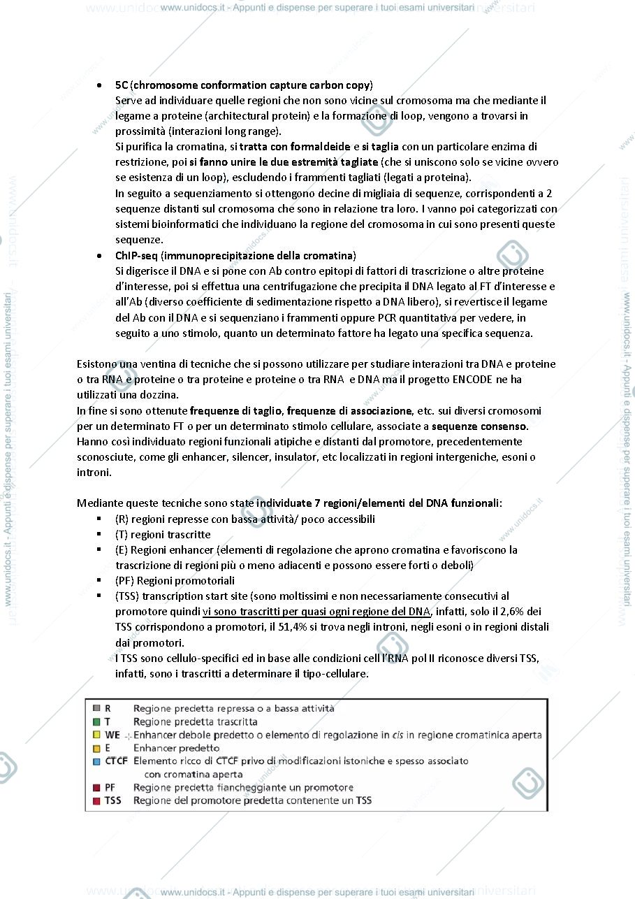 Anteprima pagina 3 — biologia molecolare e cellulare prof Bergantino e Rampazzo