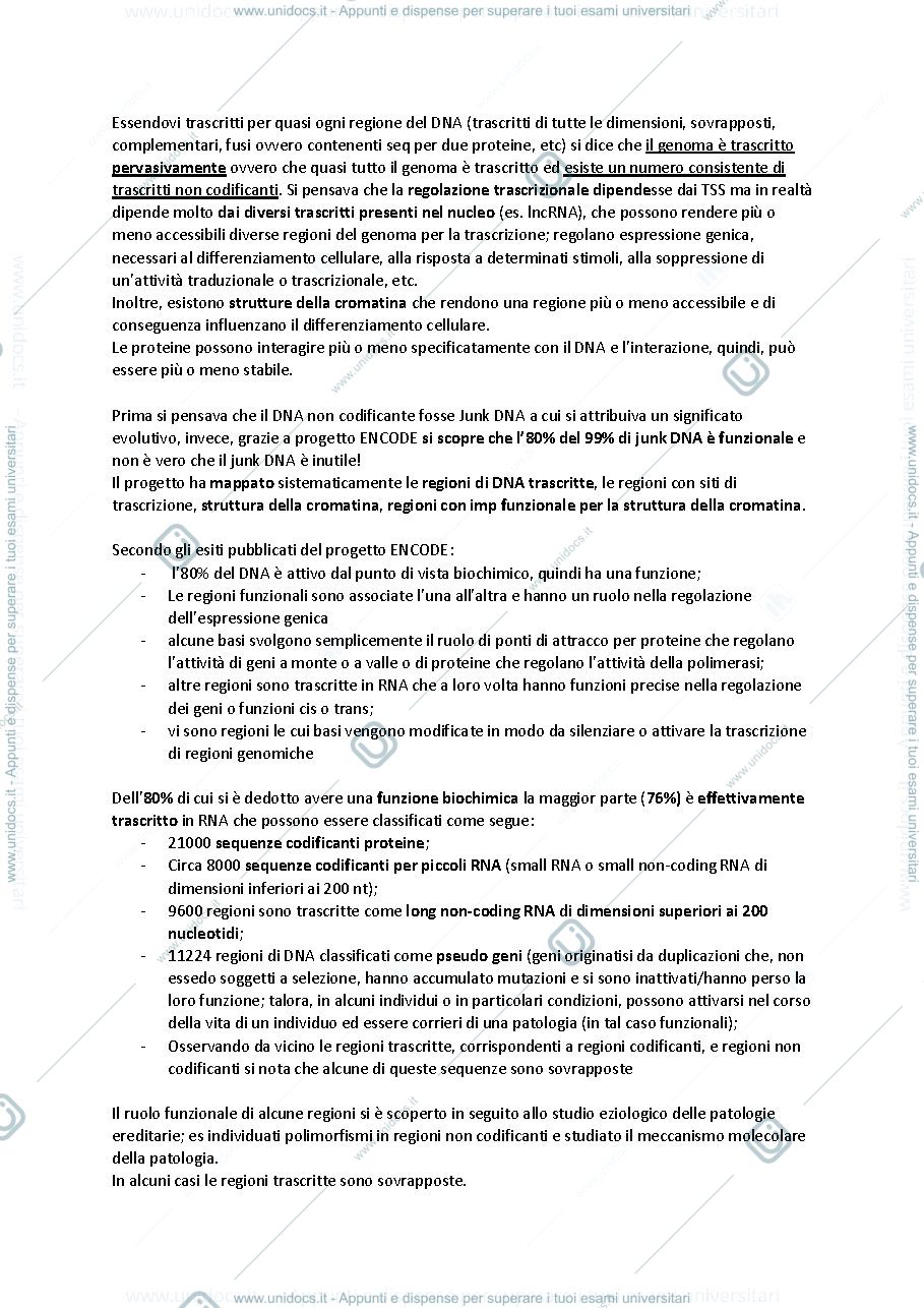 Anteprima pagina 4 — biologia molecolare e cellulare prof Bergantino e Rampazzo