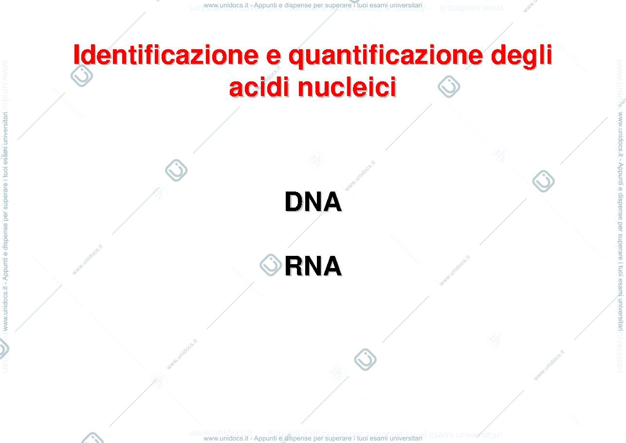 Anteprima pagina 2 — Tecniche di biologia molecolare