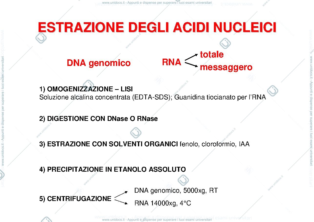 Anteprima pagina 4 — Tecniche di biologia molecolare