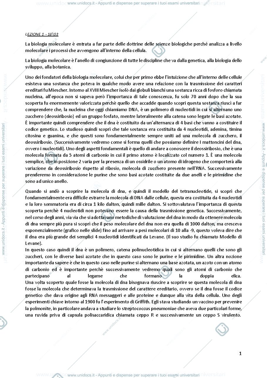 Anteprima pagina 1 — Biologia molecolare