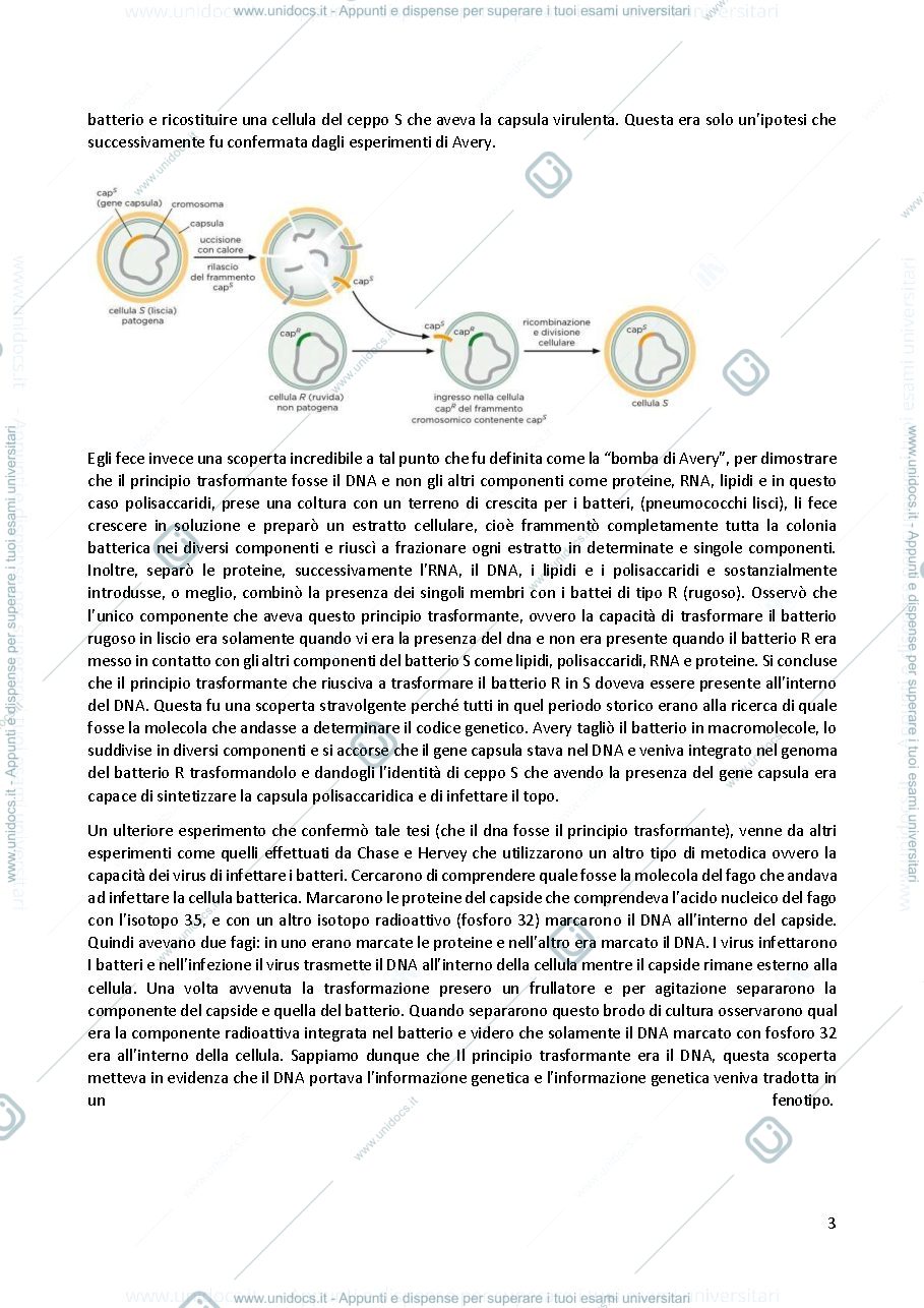 Anteprima pagina 3 — Biologia molecolare