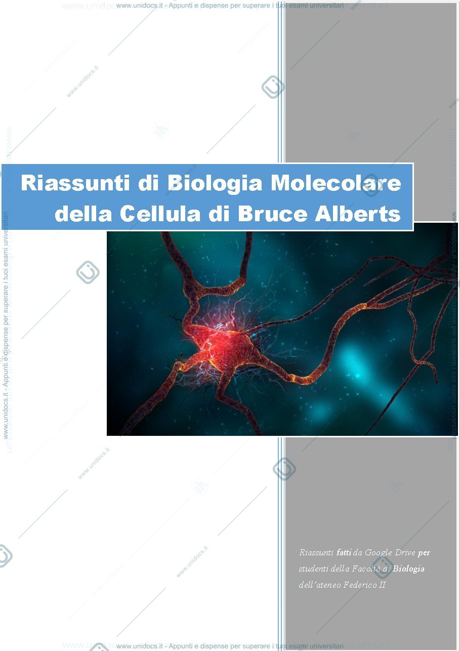Anteprima pagina 1 — Riassunti di Biologia Molecolare