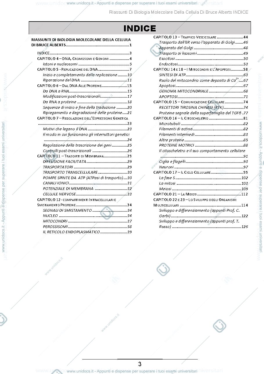 Anteprima pagina 3 — Riassunti di Biologia Molecolare