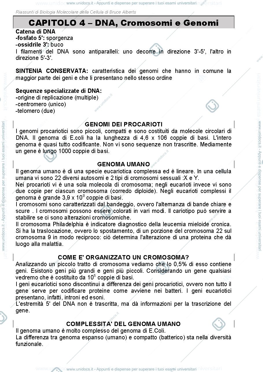 Anteprima pagina 4 — Riassunti di Biologia Molecolare