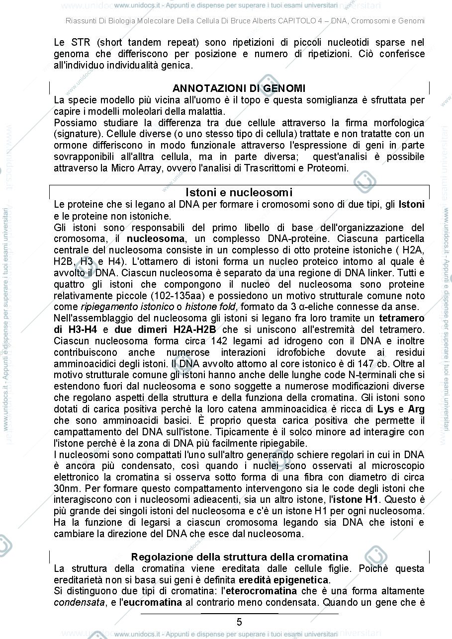 Anteprima pagina 5 — Riassunti di Biologia Molecolare