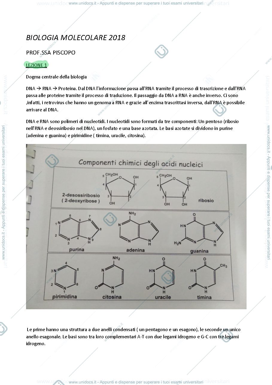Anteprima pagina 1 — biologia molecolare piscopo