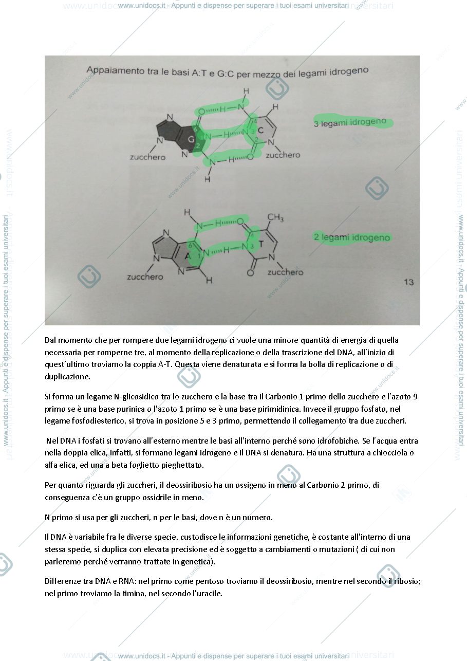 Anteprima pagina 2 — biologia molecolare piscopo
