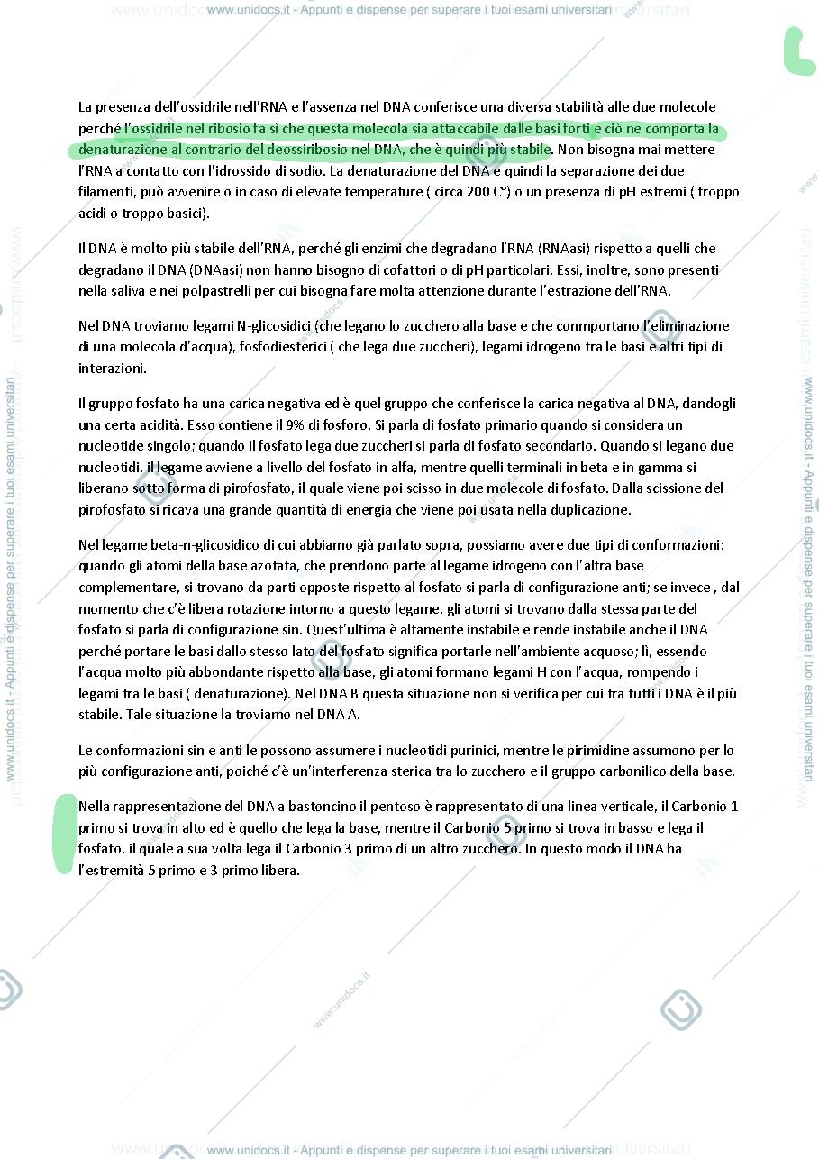 Anteprima pagina 3 — biologia molecolare piscopo