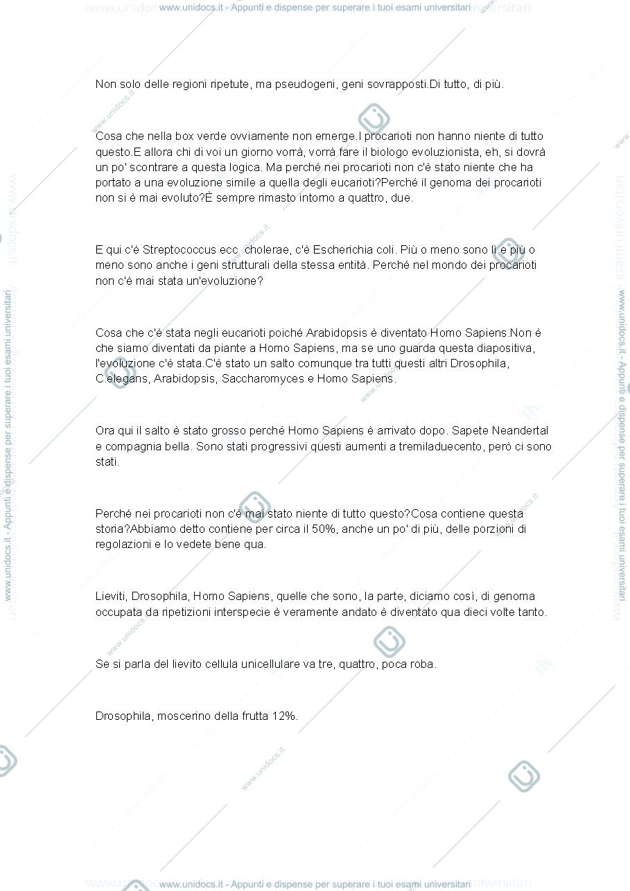 Anteprima pagina 3 — Lezione 1