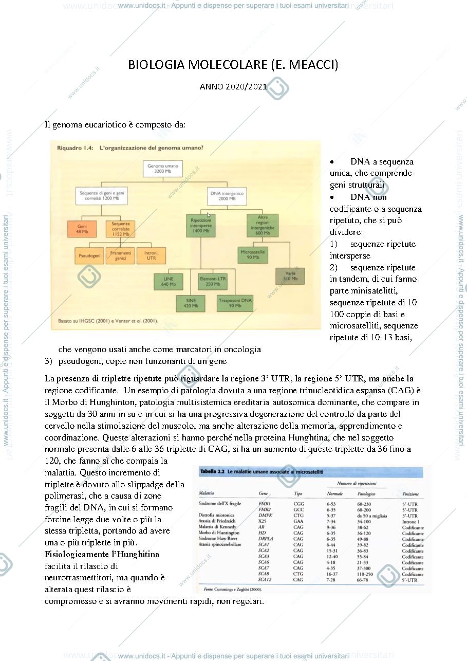 Anteprima pagina 1 — Appunti di Biologia Molecolare (E. Meacci)