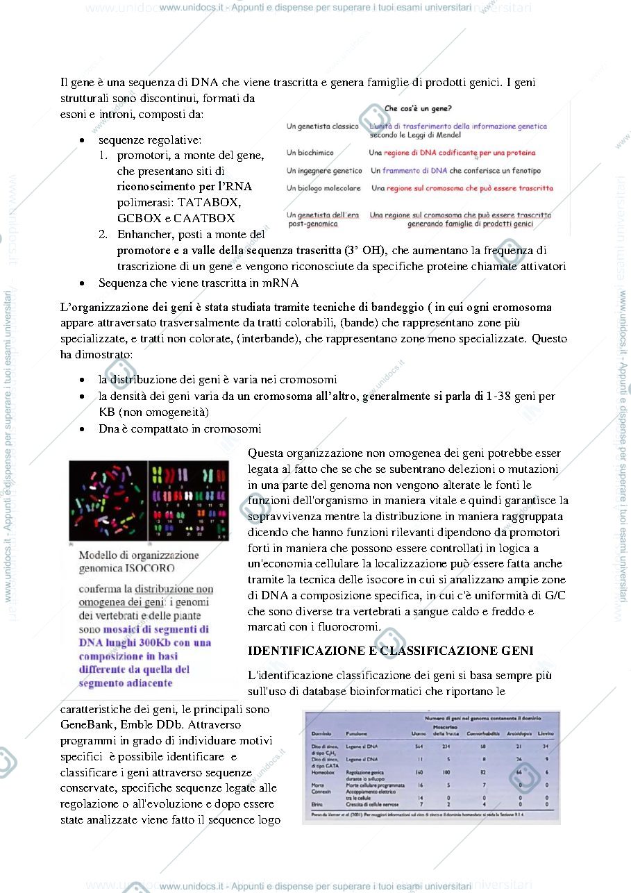 Anteprima pagina 2 — Appunti di Biologia Molecolare (E. Meacci)
