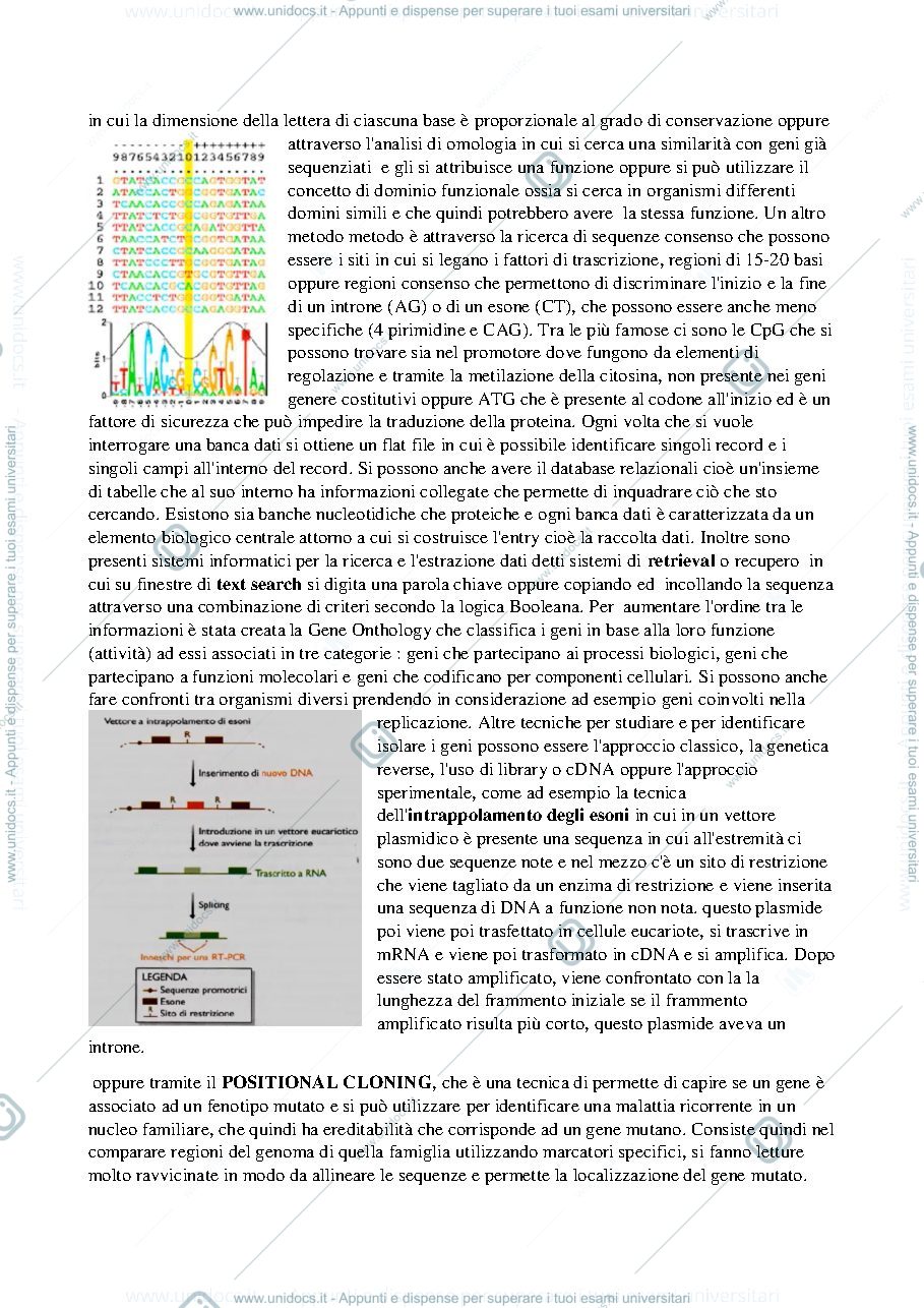 Anteprima pagina 3 — Appunti di Biologia Molecolare (E. Meacci)