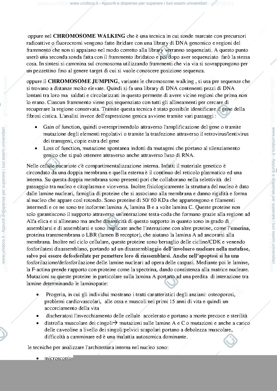 Anteprima pagina 4 — Appunti di Biologia Molecolare (E. Meacci)