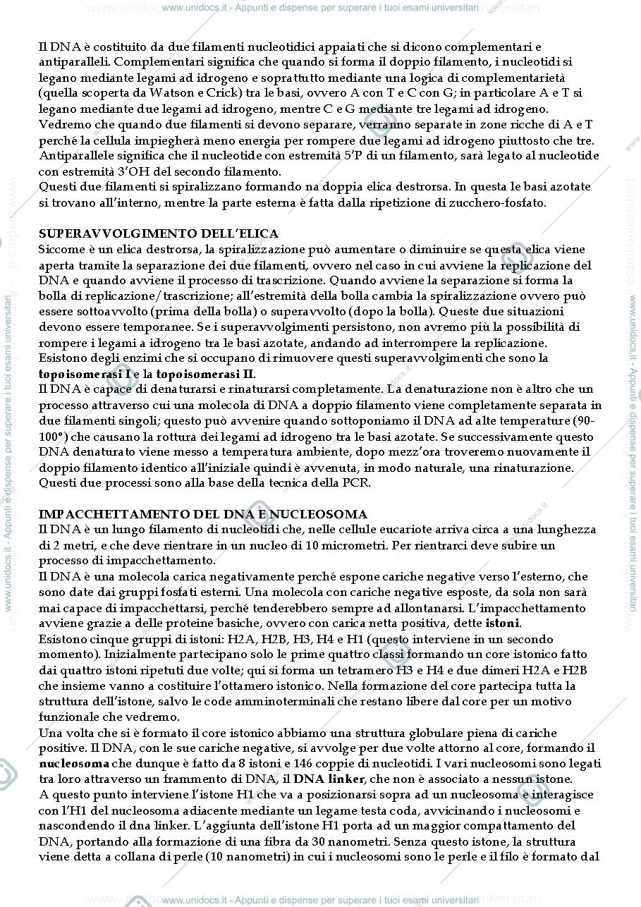 Anteprima pagina 2 — Biologia Molecolare 1 