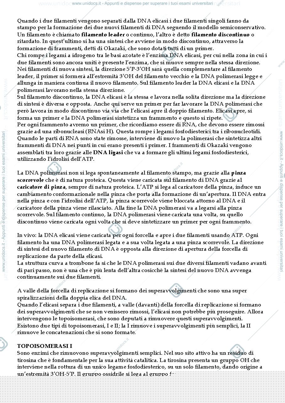 Anteprima pagina 4 — Biologia Molecolare 1 