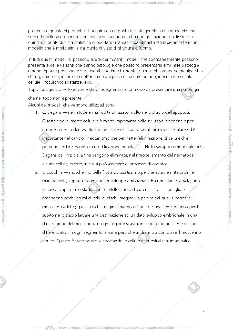 Anteprima pagina 2 — tecniche cellulari e molecolari