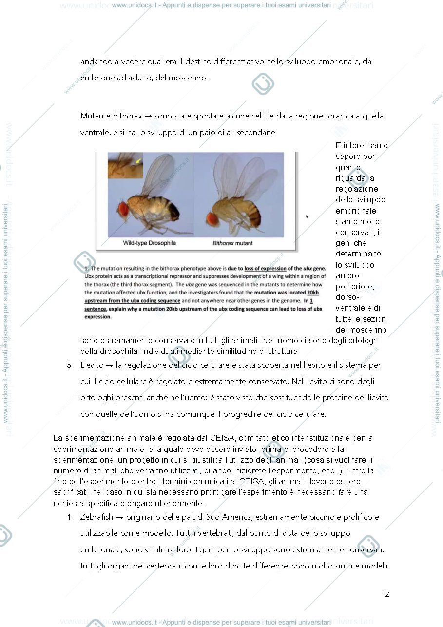 Anteprima pagina 3 — tecniche cellulari e molecolari