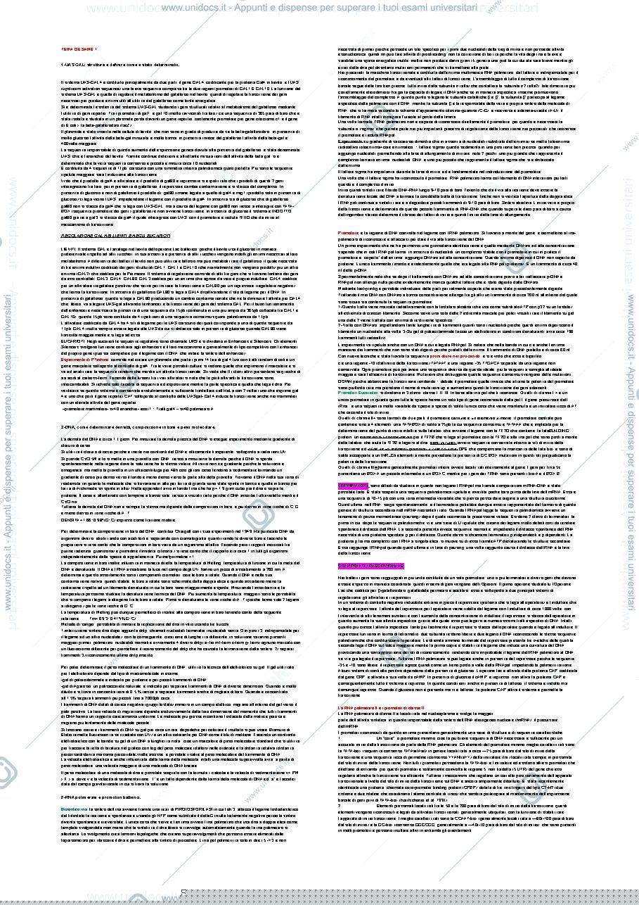 Anteprima pagina 2 — domandeesamebiomol