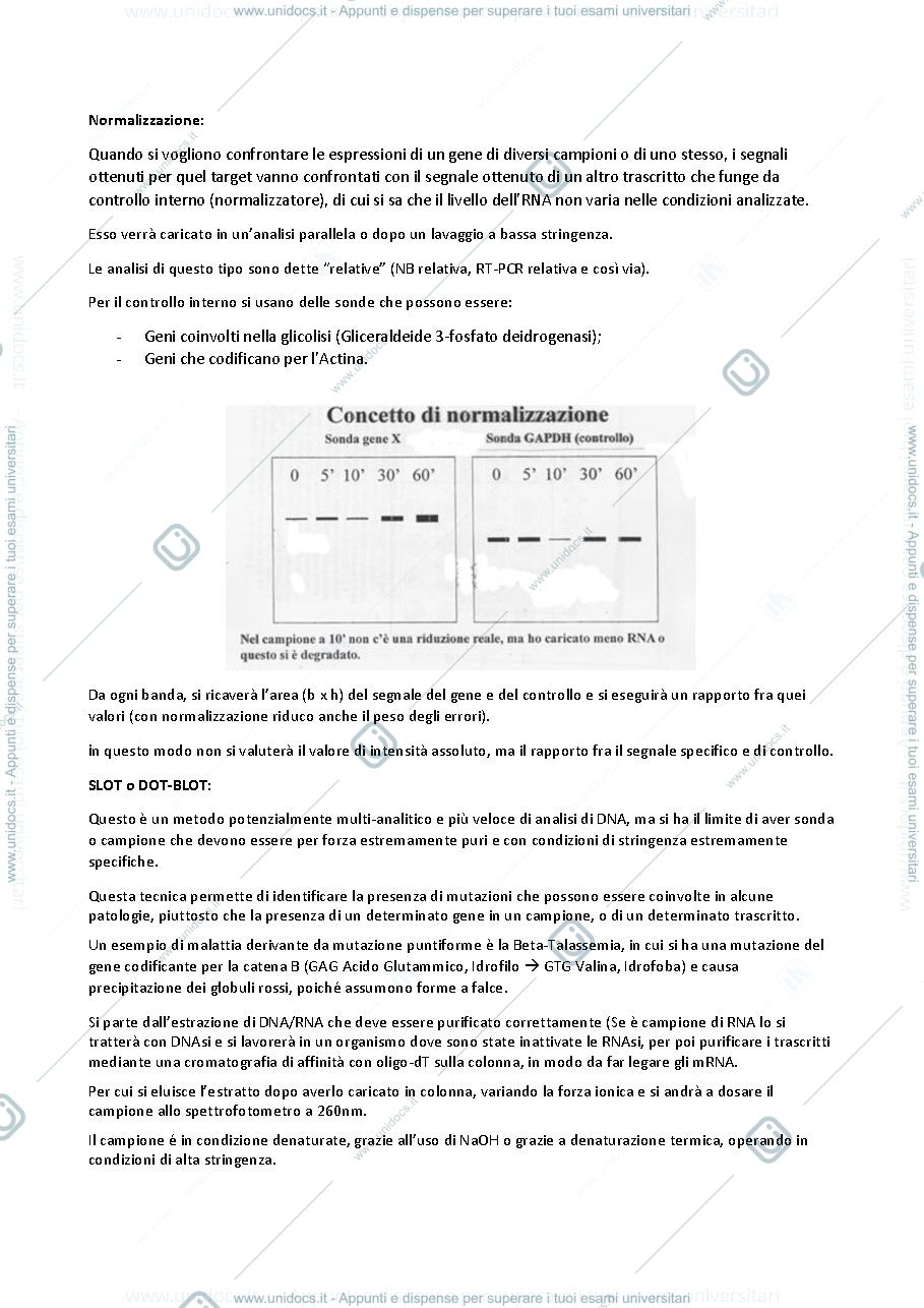 Anteprima pagina 4 — biologia molecolare II
