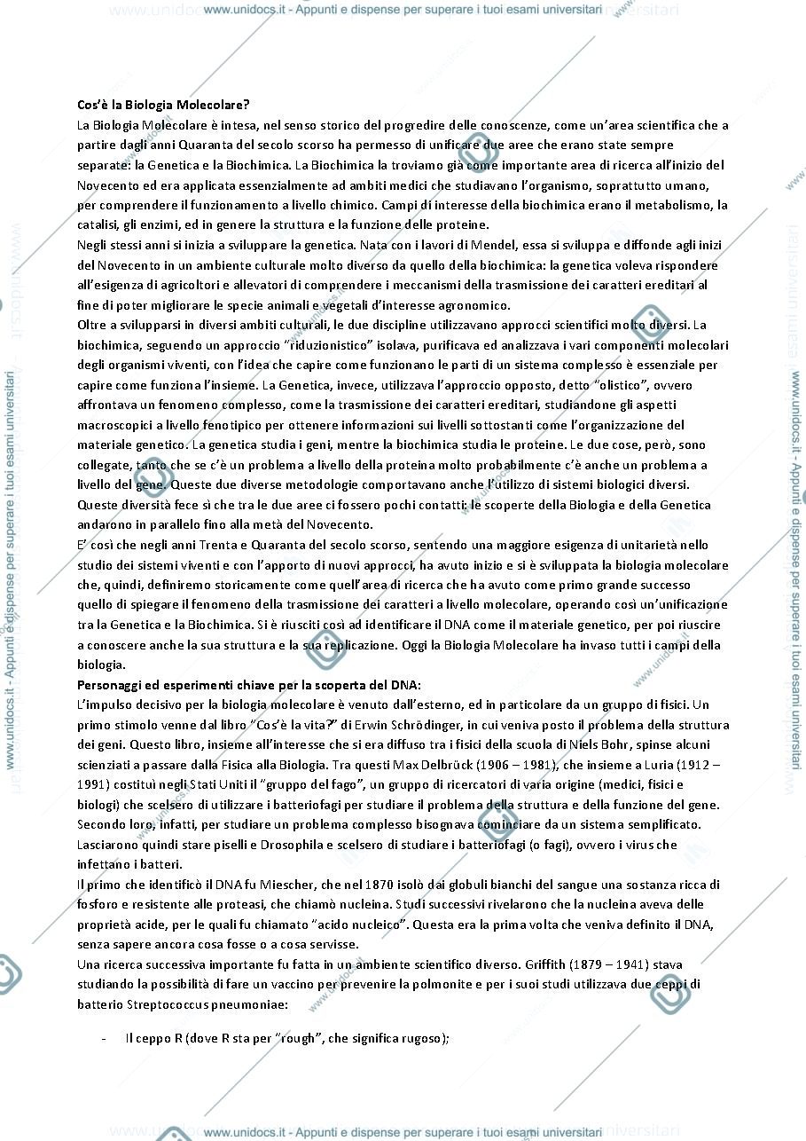 Anteprima pagina 1 — Biologia Molecolare - Prof Soriano