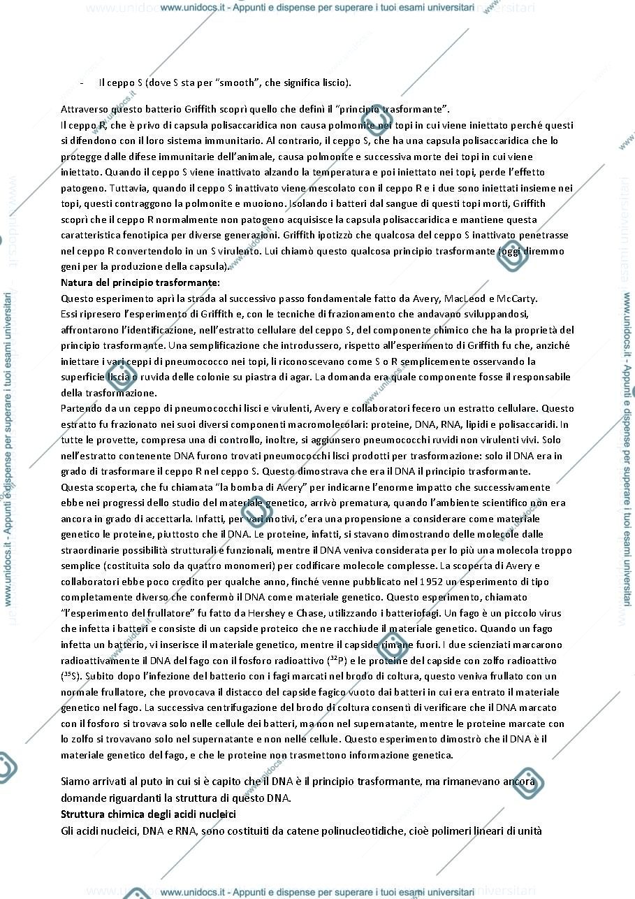Anteprima pagina 2 — Biologia Molecolare - Prof Soriano