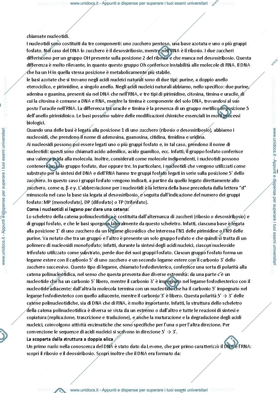Anteprima pagina 3 — Biologia Molecolare - Prof Soriano