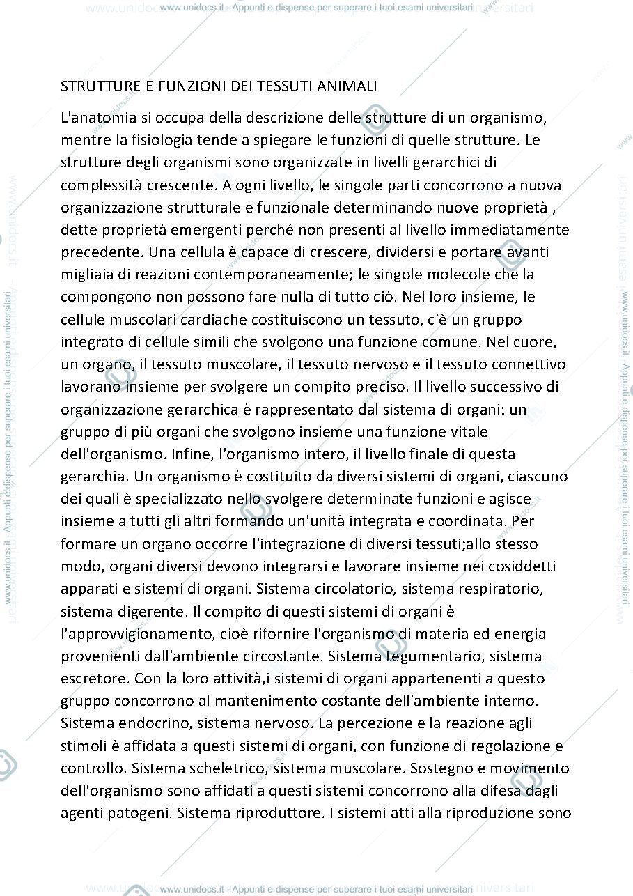 Anteprima pagina 1 — STRUTTURE E FUNZIONI DEI TESSUTI ANIMALI 