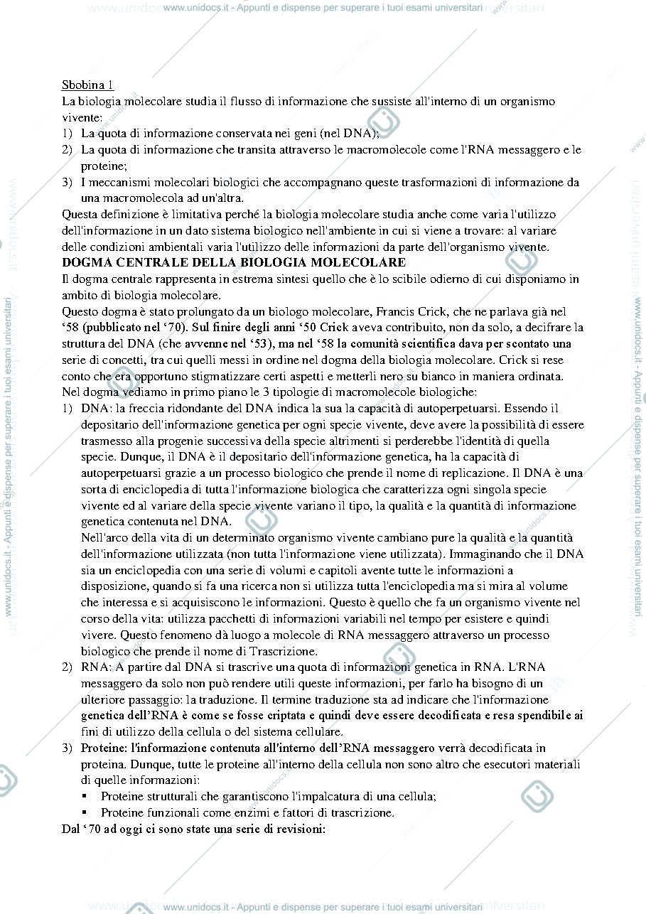 Anteprima pagina 1 — Biologia molecolare