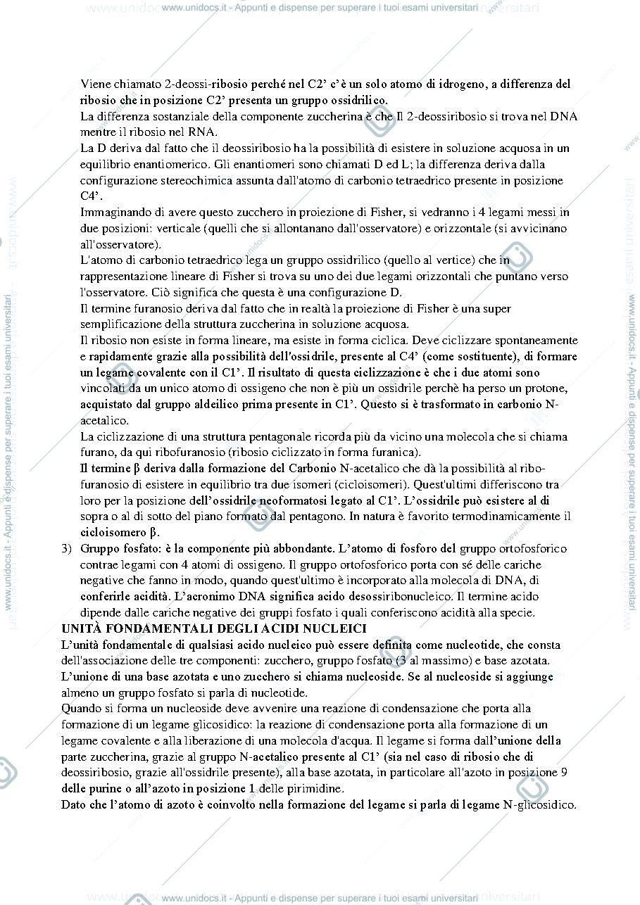Anteprima pagina 4 — Biologia molecolare
