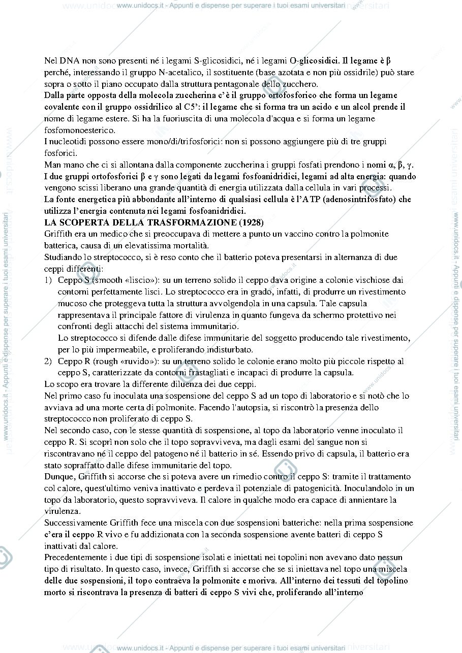Anteprima pagina 5 — Biologia molecolare