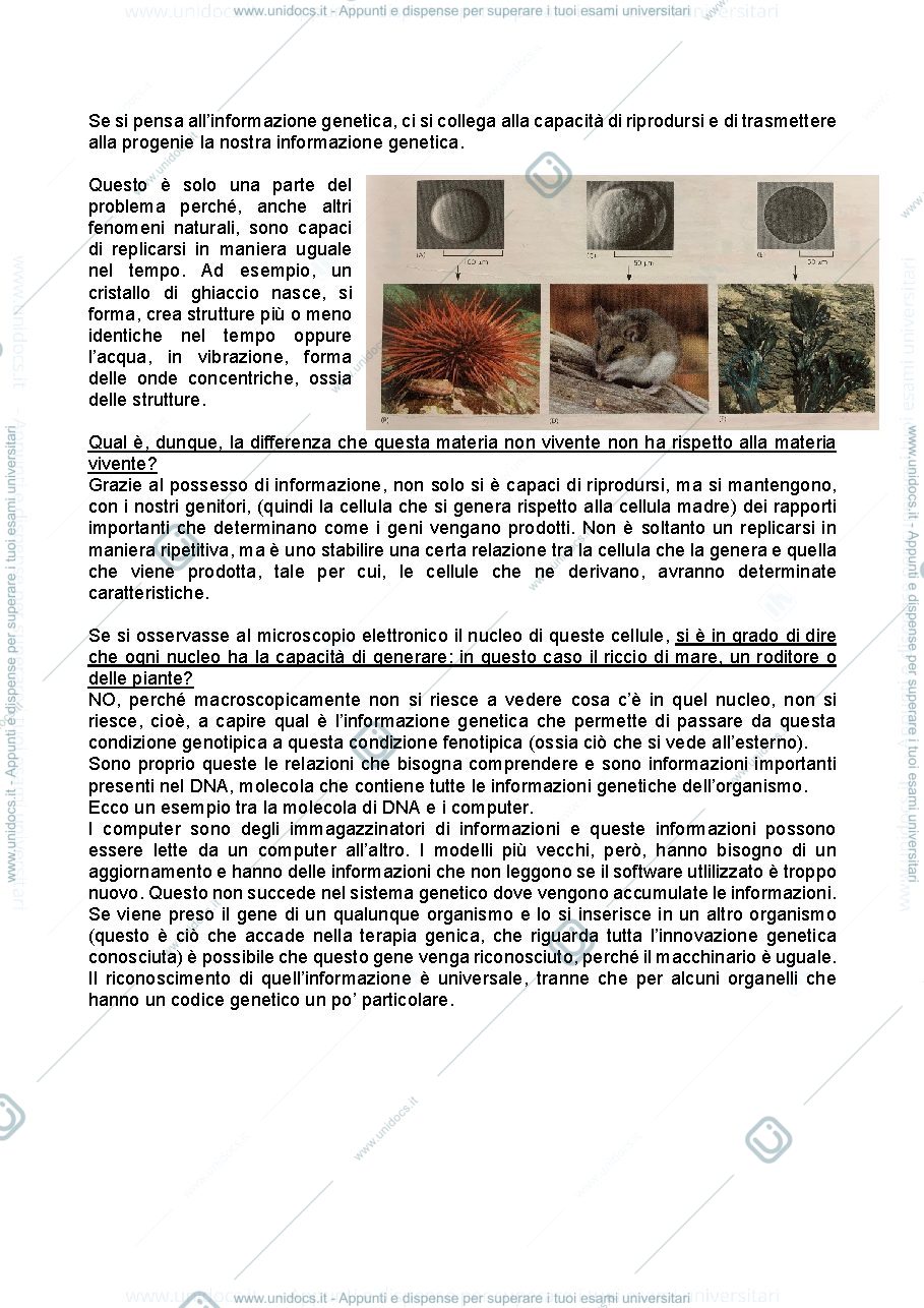 Anteprima pagina 2 — Sbobina